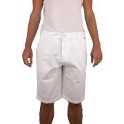 Short Torrente Basic