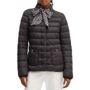 Manteau Guess 4YGL08-7119A