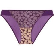 Culottes &amp; slips Pomm'poire Culotte violette Venus