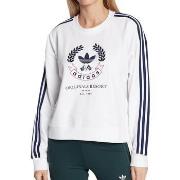 Sweat-shirt adidas HL6558