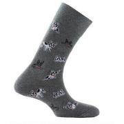 Chaussettes Kindy Mi-chaussettes en coton all over bulldogs MADE IN FR...