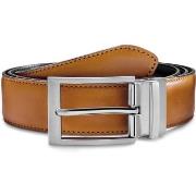 Ceinture Bswk Vincio