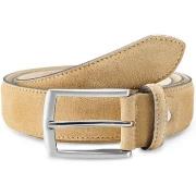 Ceinture Bswk Holden