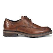 Derbies Fluchos Derbies F1872