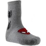 Chaussettes enfant Marvel MARVEL Chaussettes Garçon SPIDER-MAN Spider