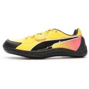 Chaussures Puma 377006-01