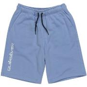 Short enfant Quiksilver Take Us Back