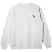 Polaire Quiksilver DNA Bubble Logo