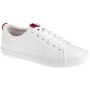 Baskets basses Big Star Shoes