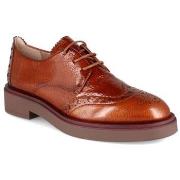 Derbies Hispanitas hi243519