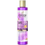 Shampooings Pantene Miracle Violeta Champú