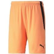 Short Puma 704924-21