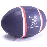 Ballons de sport Camberabero Ballon rugby France bleu marine