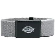 Ceinture Dickies ORCUTT DK0A4X7E-D06 ULTIMATE GREY