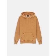 Sweat-shirt Dickies PLENTYWOOD HD - DK0A866D-0BD1 BROWN DUCK