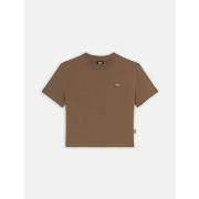 T-shirt Dickies OAKPORT BOXY - DK0A4Y8L-MR11 MUSHROOM