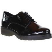 Derbies We Do CO22034DB