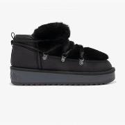 Bottines D.Franklin Nordic trk fur low