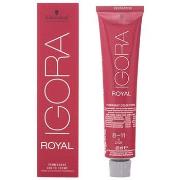 Colorations Schwarzkopf Igora Royal 8-11