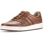 Baskets basses Pius Gabor Sneaker