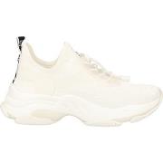 Baskets basses Steve Madden Sneaker