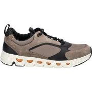 Baskets basses Geox Sneaker