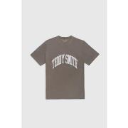 T-shirt Teddy Smith Tee Shirt Faded Kaki