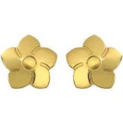 Boucles oreilles Brillaxis Boucles d'oreilles fleur or jaune vis