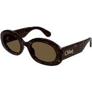 Lunettes de soleil Chloe CH0258S Lunettes de soleil, Havana/Marron, 53...