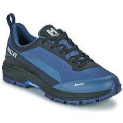 Chaussures Millet WANAKA GTX M