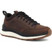 Chaussures Geox Running Sneaker Uomo Coffee Black U46HMB0FFEKC0196