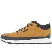 Baskets Timberland Field trekker low lace up sneaker