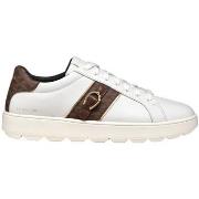 Baskets Geox D Spherica ECUB-1 sneaker