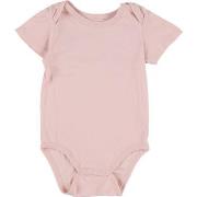 Bodys Absorba Body rose