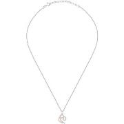 Collier Cleor Collier en argent 925/1000 et zircon