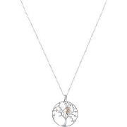 Collier Cleor Collier en argent 925/1000 et zircon