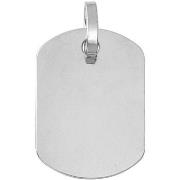 Pendentifs Brillaxis Pendentif plaque GI bords arrondis or blanc 750/1...