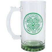 Accessoire sport Celtic Fc TA12542