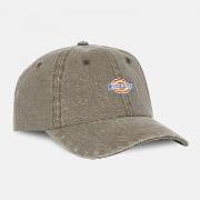 Casquette Dickies Hardwick duck canvas cap