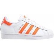 Baskets basses enfant adidas superstar_j_fz0648