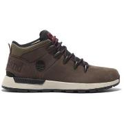 Baskets montantes Timberland -