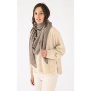 Echarpe Notshy Etole cachemire taupe-048024