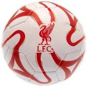 Accessoire sport Liverpool Fc Cosmos