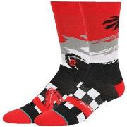 Chaussettes de sports Stance Chaussette NBA Toronto Raptors