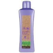 Shampooings Salerm Biokera Grapeology Shampoo