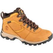 Chaussures Timberland Mt. Maddsen Mid Lthr WP