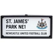 Tableaux, toiles Newcastle United Fc TA12648