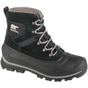 Boots Sorel Buxton Lace Winter Boots WP