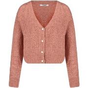 Sweat-shirt Deeluxe Pull DORFI