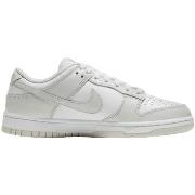 Baskets Nike Dunk Low